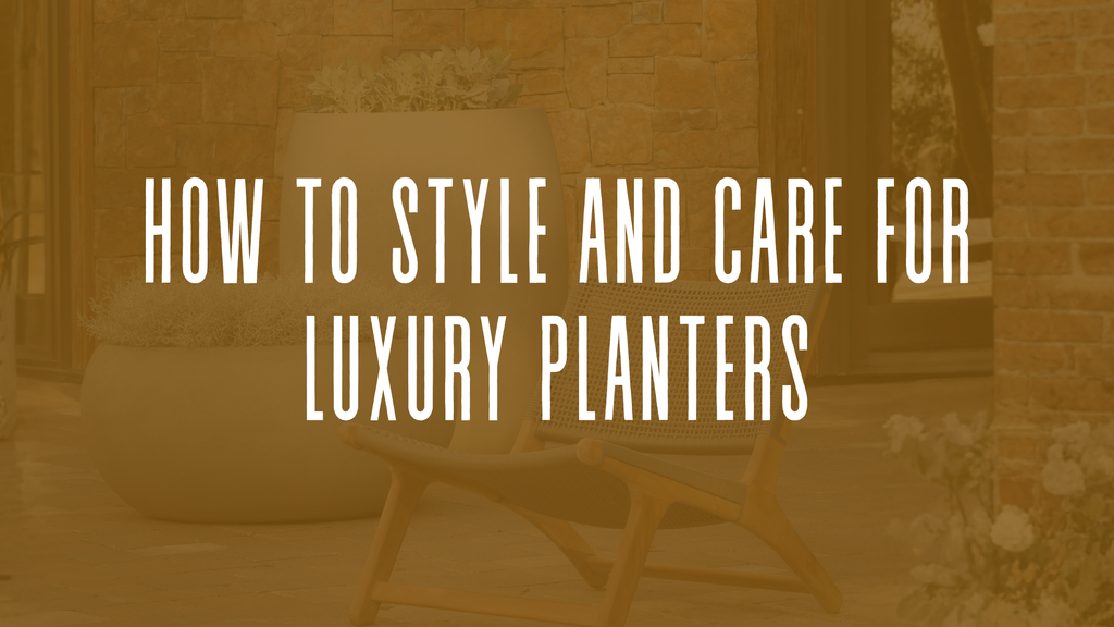 How to Guide for Styling and Caring for Luxury Planters