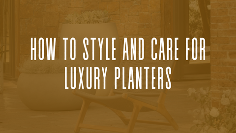 How to Guide for Styling and Caring for Luxury Planters