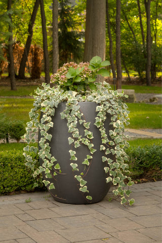 A Casualife Guide to Planters